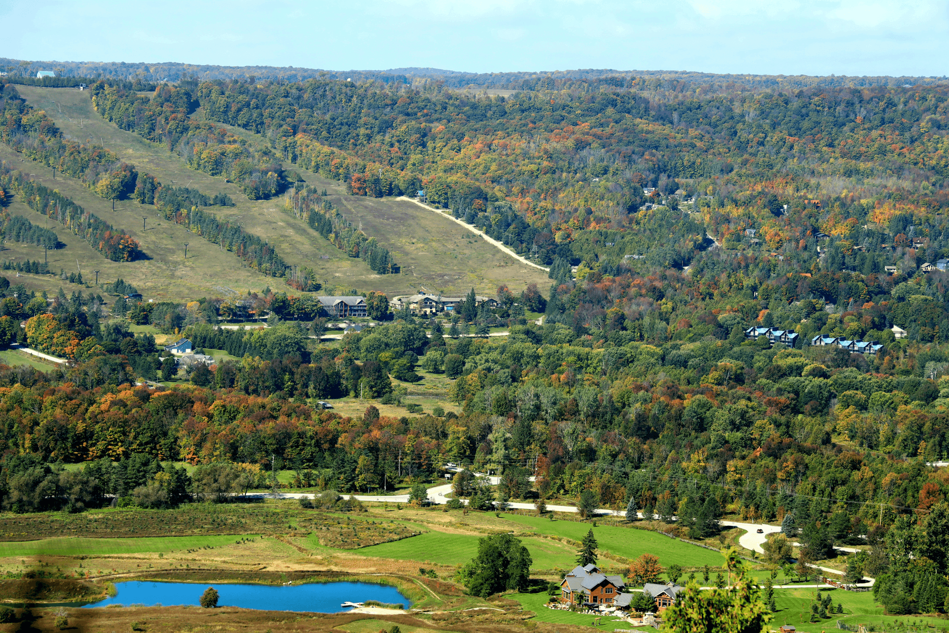 Chimney Services in Montgomery County, PA background