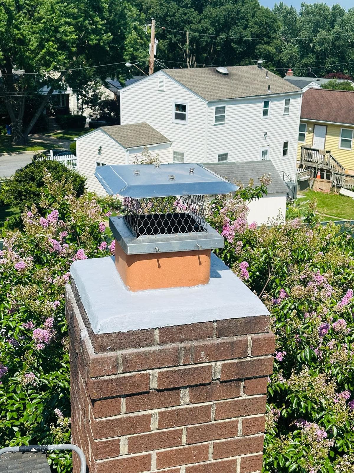 Pest & Blockage-Related Repairs